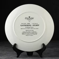 Тарелка винтажная декоративная настенная Фарфор Англия Самолёты Coalport Reach for the Sky Gathering Storm