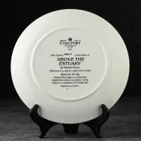 Тарелка винтажная декоративная настенная Фарфор Англия Самолёты Coalport Reach for the Sky Above the Estuary