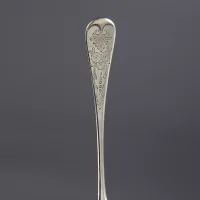 Антикварная пара сервировочных ложек Berry Spoon с тиснёным декором фруктов, ягод и цветов Англия, конец XIX – начало XX века