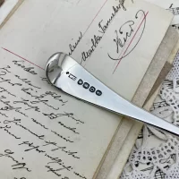 Антикварная ложка Сифтер для сахарной пудры корицы какао Англия William Chawner 1829 год