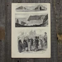 Антикварная иллюстрация The Illustrated London News Types of viennese life Loss of the megaera the island of St.Paul from the sea