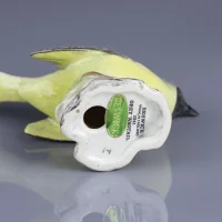 Винтажная фигурка птицы Beswick 1041 Grey Wagtail Серая трясогузка Англия