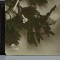 Антикварная открытка Девушка Рождество Германия Rotophot RPH 3452/6 Joyeux Noël Wally Ernst Schneider