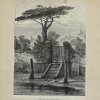 Антикварная иллюстрация The Illustrated London News River gate Botanic garden Chelsea