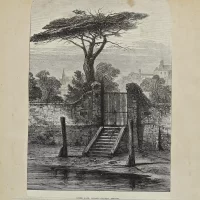 Антикварная иллюстрация The Illustrated London News River gate Botanic garden Chelsea