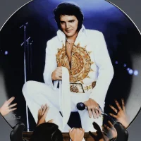 Винтажная декоративная фарфоровая тарелка Эльвис Пресли на сцене Delphi Love me Elvis Presley In Performance collection