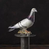 Винтажная фарфоровая статуэтка Голубь Англия Beswick 1383 Pigeon