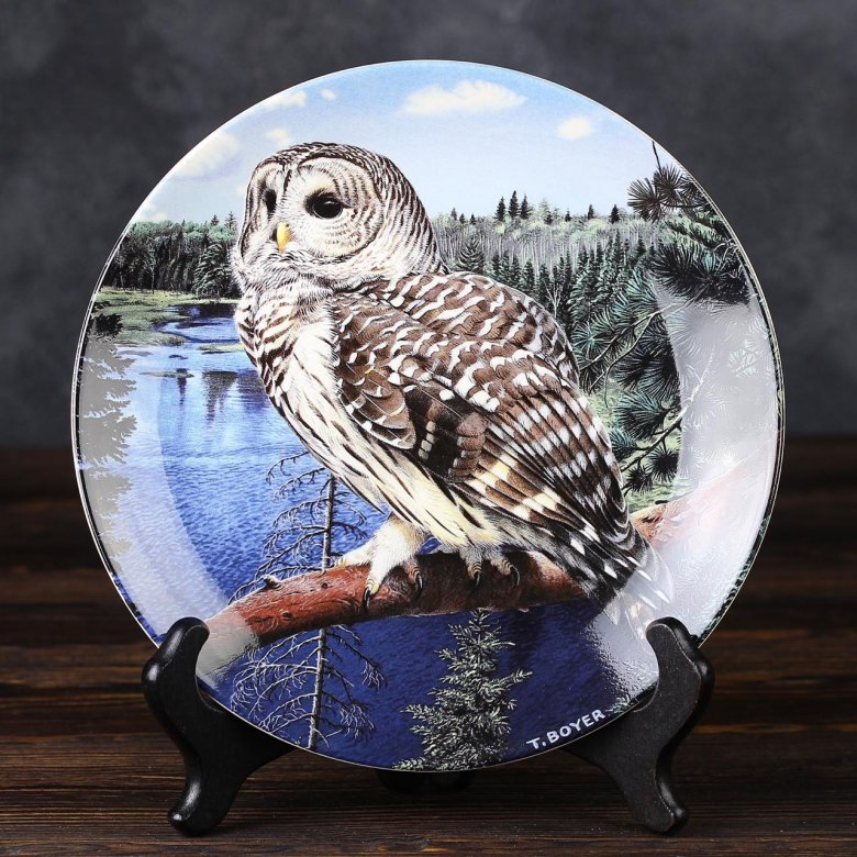 Тарелка винтажная декоративная настенная Англия Сова Пёстрая неясыть Веджвуд Wedgwood Danbury Mint Majesty of Owls Barred Owl