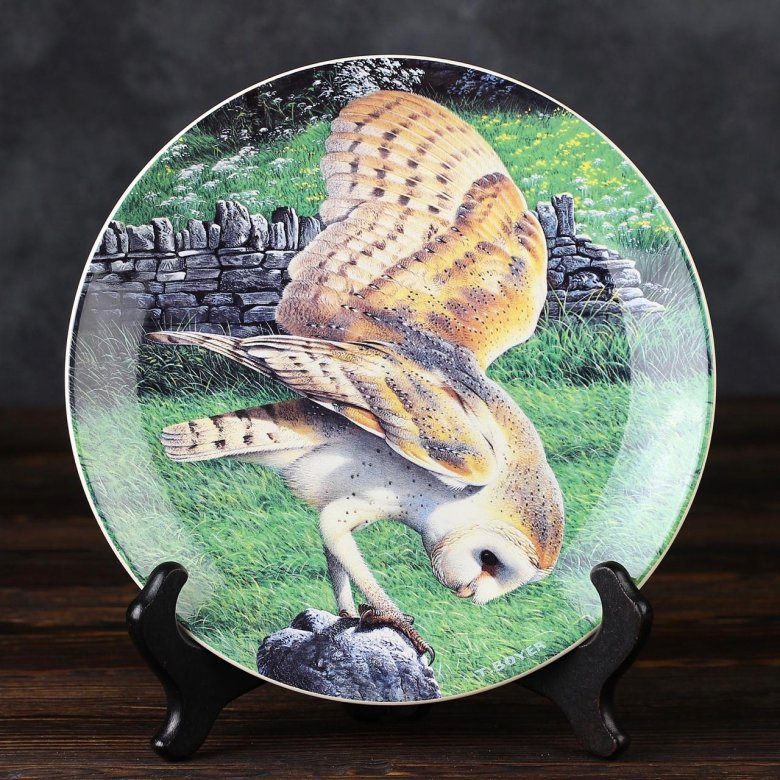 Тарелка винтажная декоративная настенная Англия Сова Сипуха Веджвуд Wedgwood Danbury Mint Majesty of Owls Barn Owl