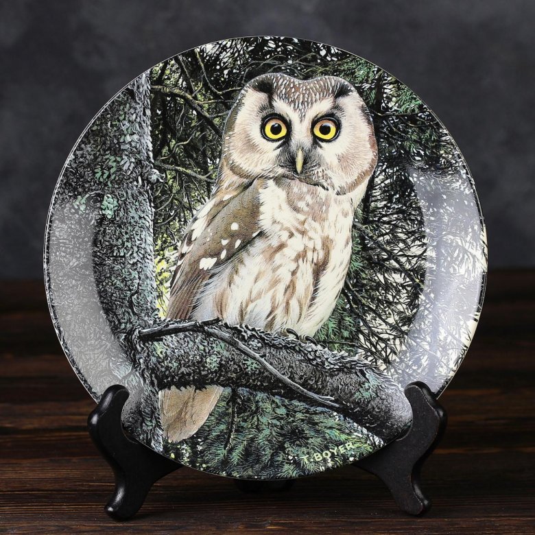 Тарелка винтажная декоративная настенная Англия Сова Мохноногий сыч Веджвуд Wedgwood Danbury Mint Majesty of Owls Tengmalm's Owl