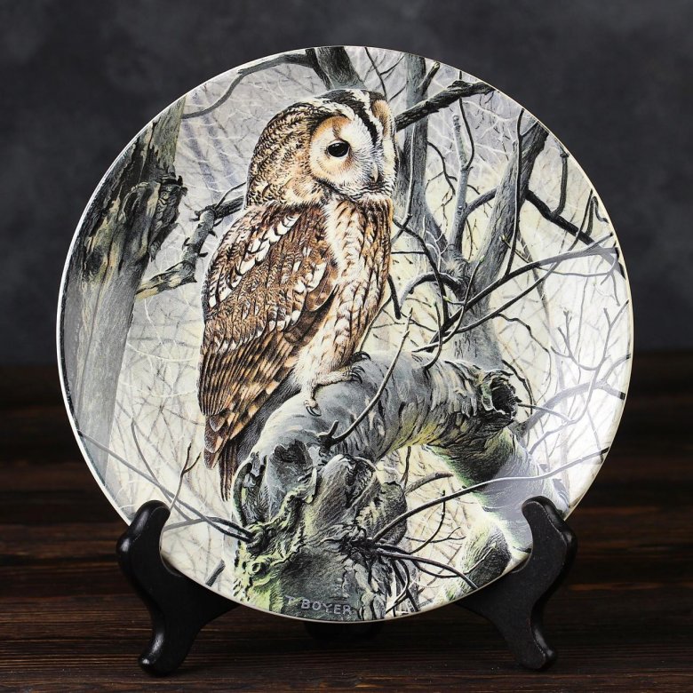Тарелка винтажная декоративная настенная Англия Сова Серая неясыть Веджвуд Wedgwood Danbury Mint Majesty of Owls Tawny Owl