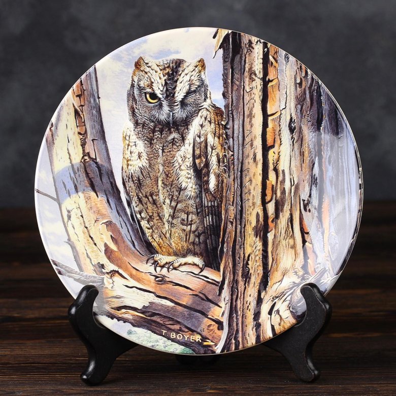 Тарелка винтажная декоративная настенная Англия Сова Веджвуд Wedgwood Danbury Mint Majesty of Owls Scops Owl