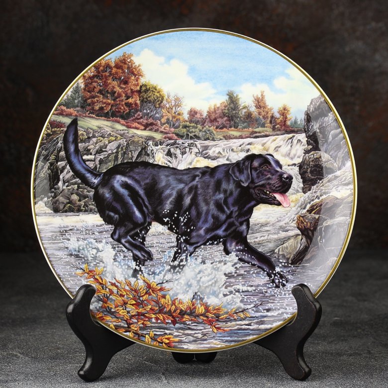 Тарелка винтажная декоративная настенная Фарфор Англия Собаки Чёрный лабрадор Royal Doulton Dogs in Action Black Labrador