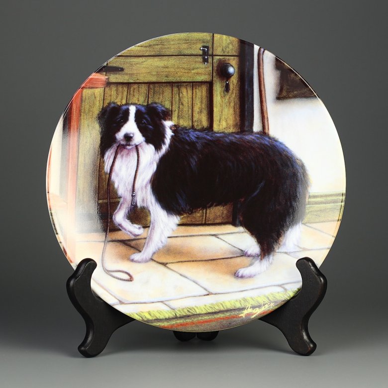 Тарелка винтажная декоративная настенная Фарфор Англия Бордер-колли Собака Danbury Mint Royal Worcester Border Collie