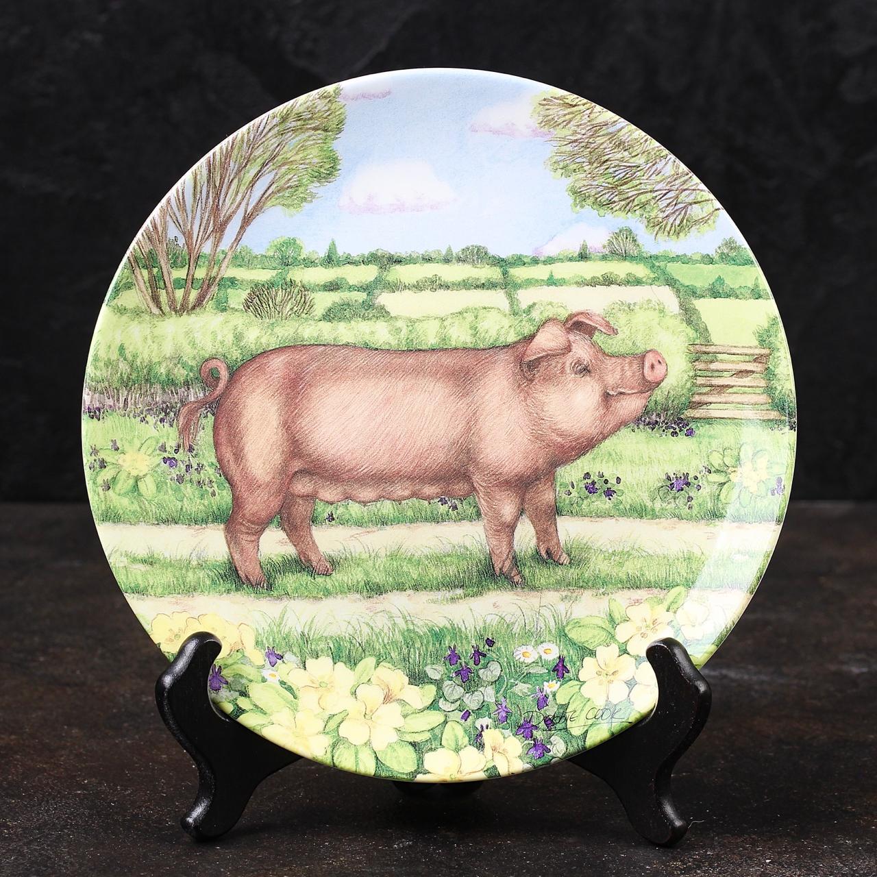 Винтажная декоративная тарелка со свиньёй