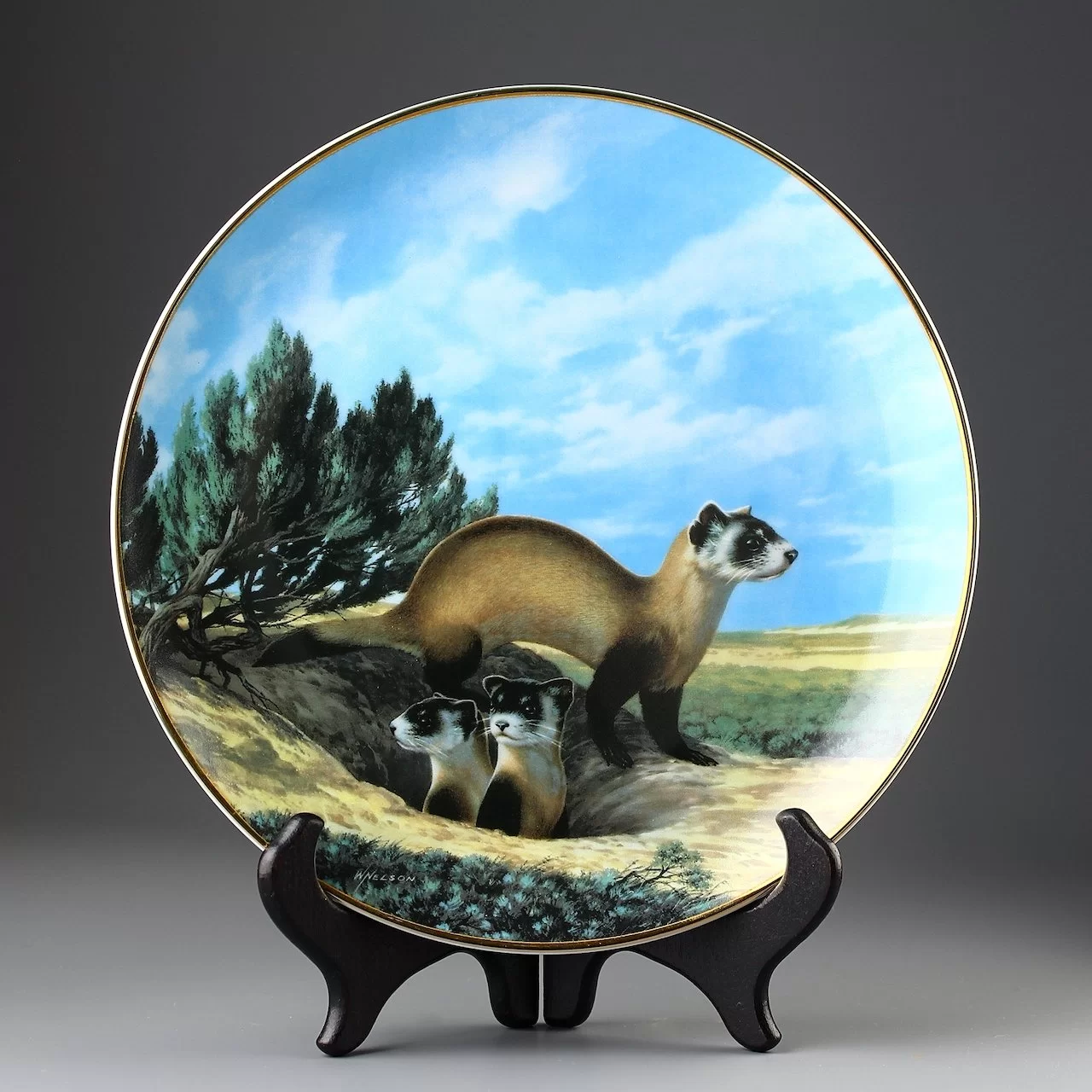 Тарелка винтажная декоративная настенная Фарфор Черноногий хорёк W S George Black-Footed Ferret Last of Their Kind Endangered Species