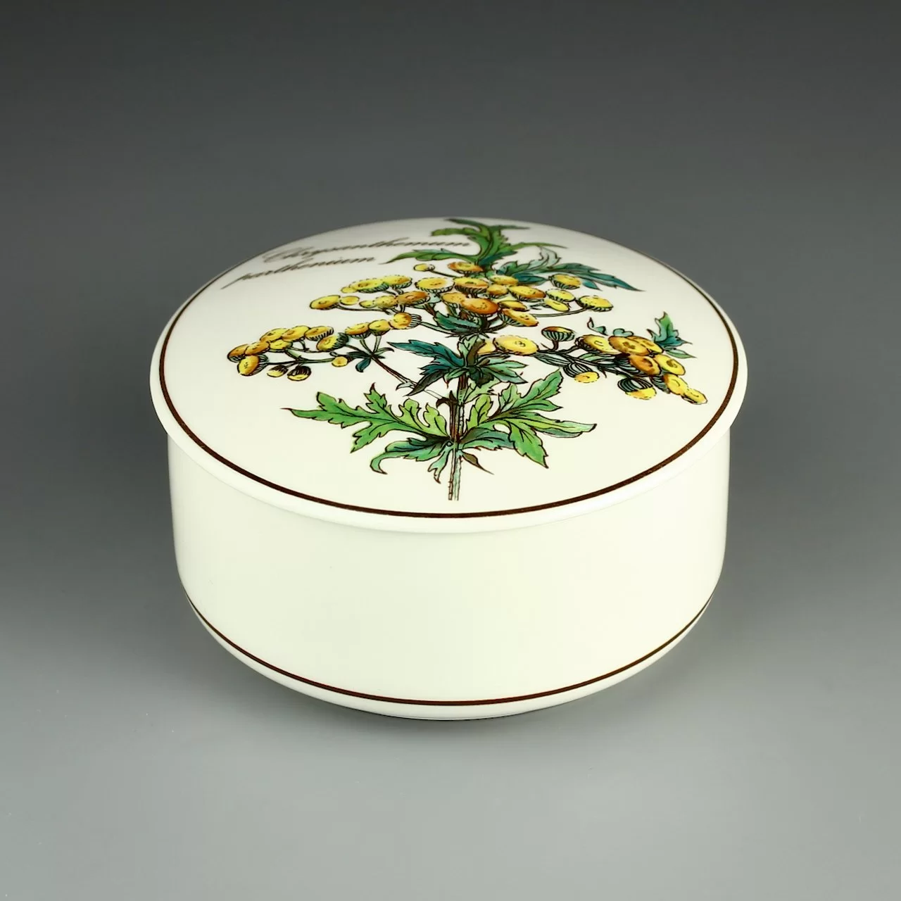 Винтажная шкатулка Ботаника Пижма Botanica Villeroy & Boch Chrysanthemum Parthenium