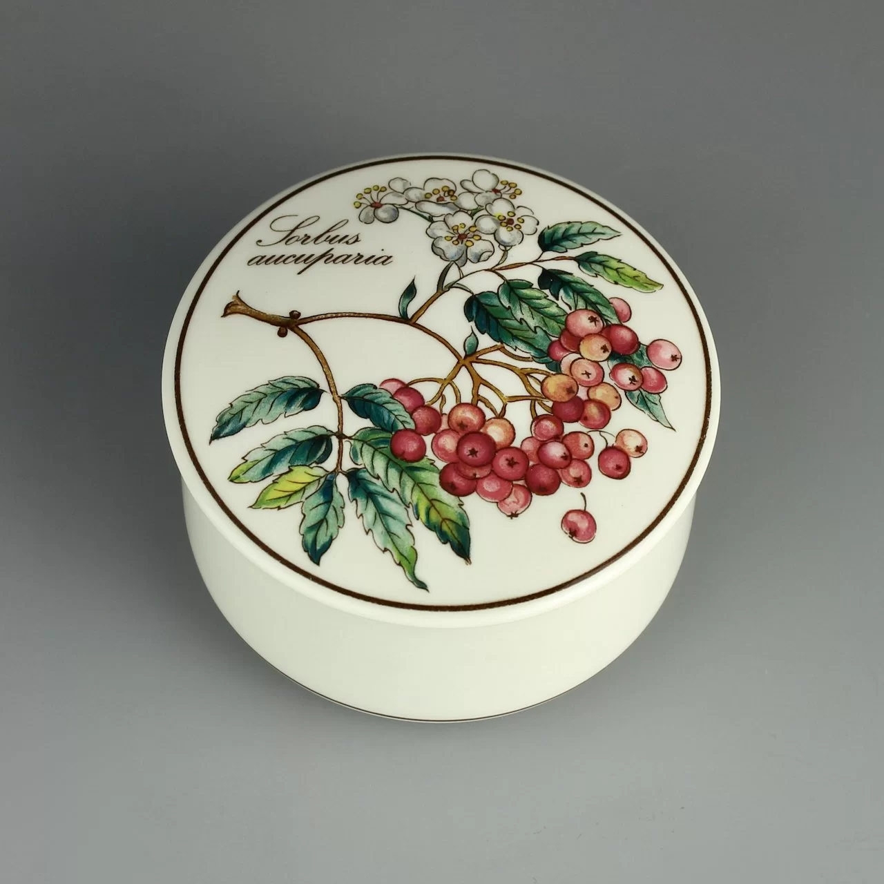 Винтажная шкатулка Ботаника Адонис весенний Рябина Botanica Villeroy & Boch