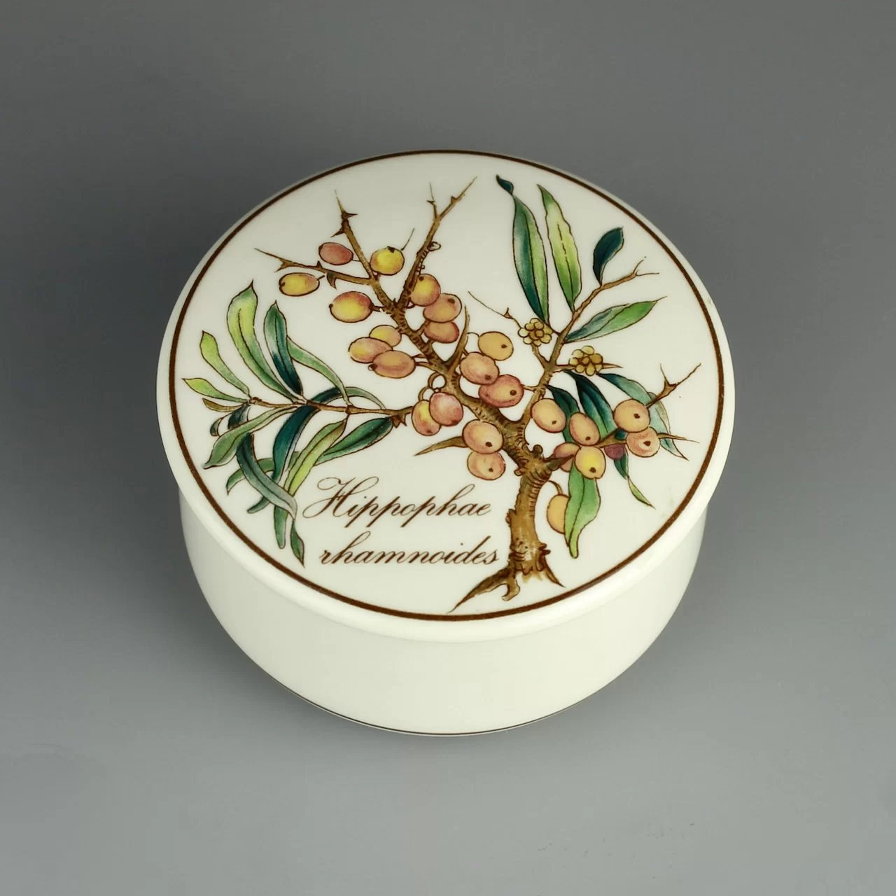 Винтажная шкатулка Ботаника Облепиха Botanica Villeroy & Boch