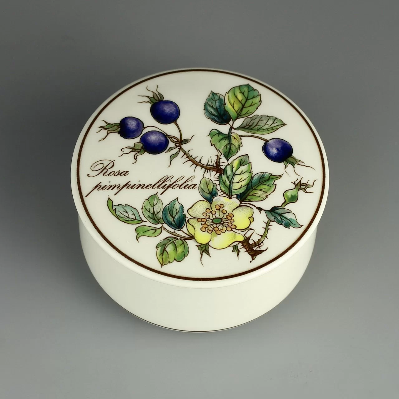 интажная шкатулка Ботаника Шиповник Botanica Villeroy & Boch