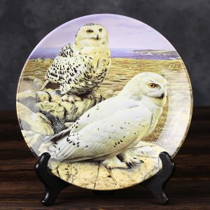 Тарелка винтажная декоративная настенная Англия Белые совы Веджвуд Wedgwood Danbury Mint Majesty of Owls Snowy Owls