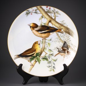 Тарелка винтажная декоративная настенная Фарфор Англия Дубонос Птицы Coalport John Gould's Birds of Great Britain Hawfinch