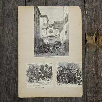 Антикварная иллюстрация The Illustrated London News Port Gallant straits of Magellan