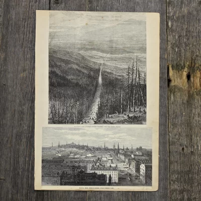 Антикварная иллюстрация The Illustrated London News River gate Botanic garden Chelsea